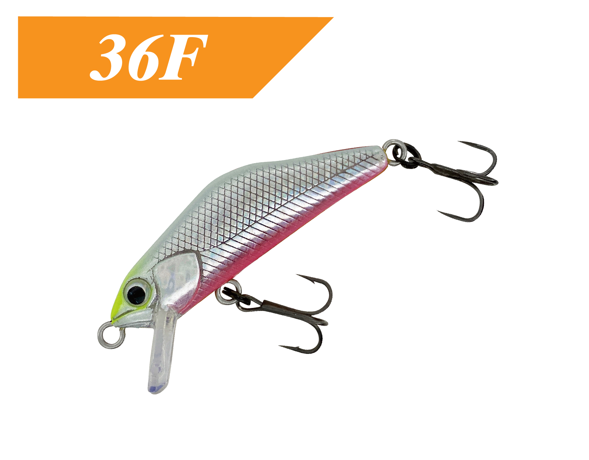 T-Gravits36F / ティーグラヴィッツ36F