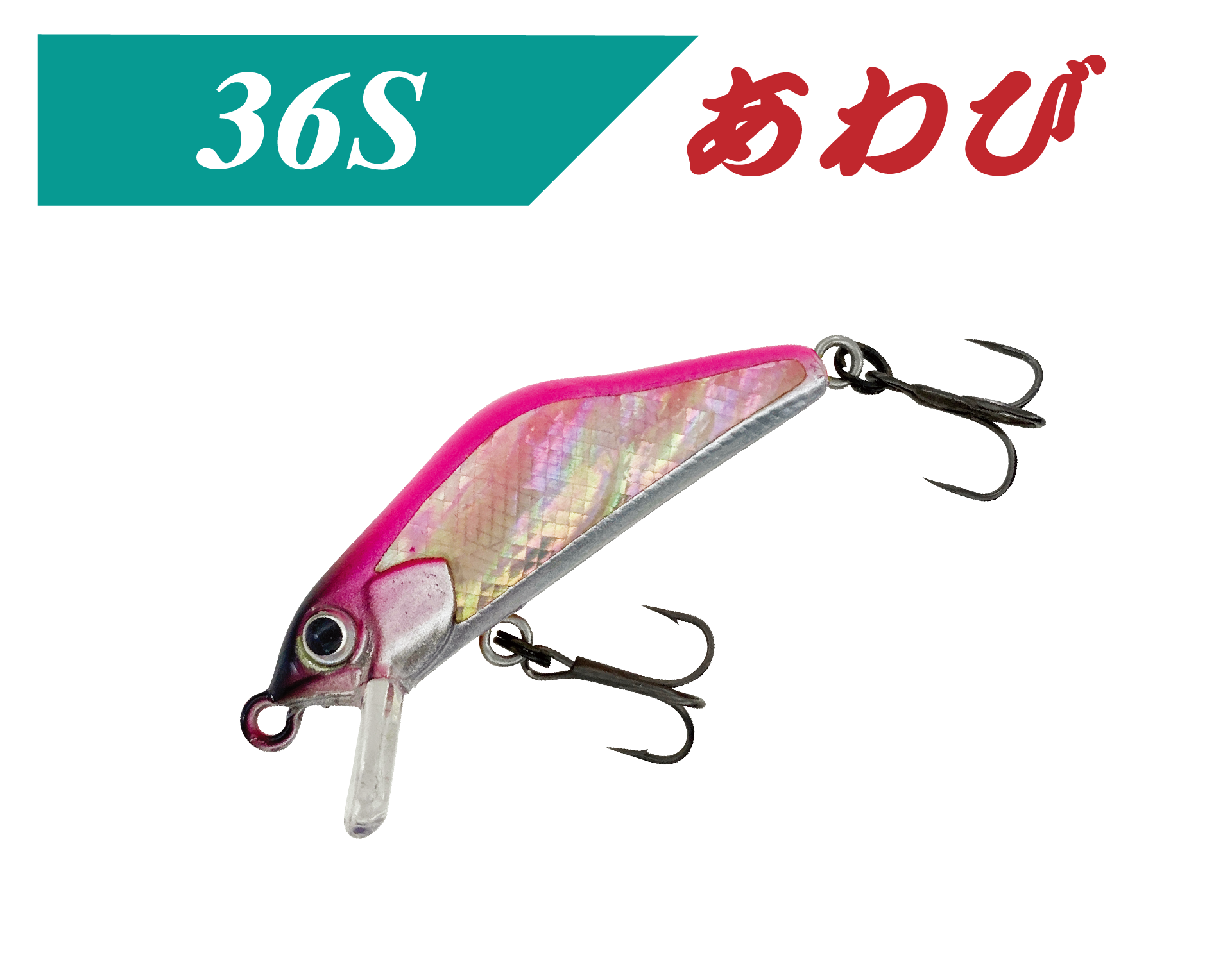 T-Gravits / ティーグラヴィッツあわび36S