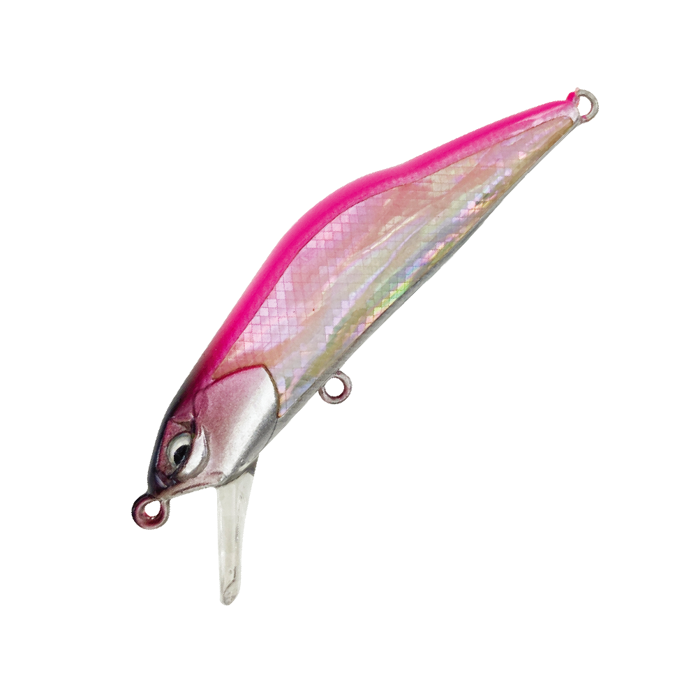 06
フラッシュピンク