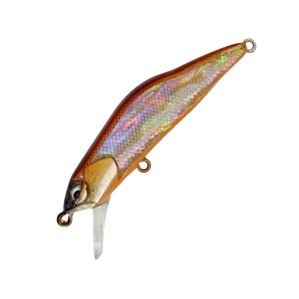 08
テネシーシャッド