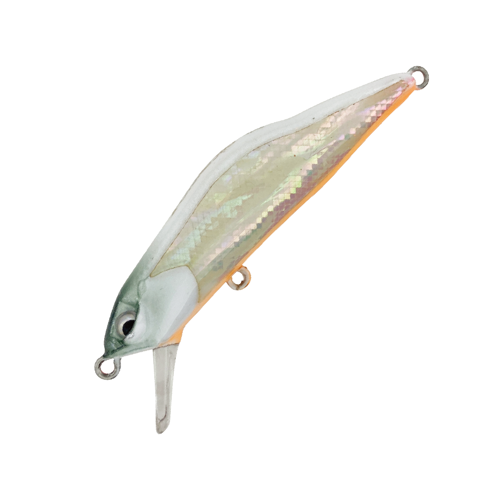 10
ホワイトパール