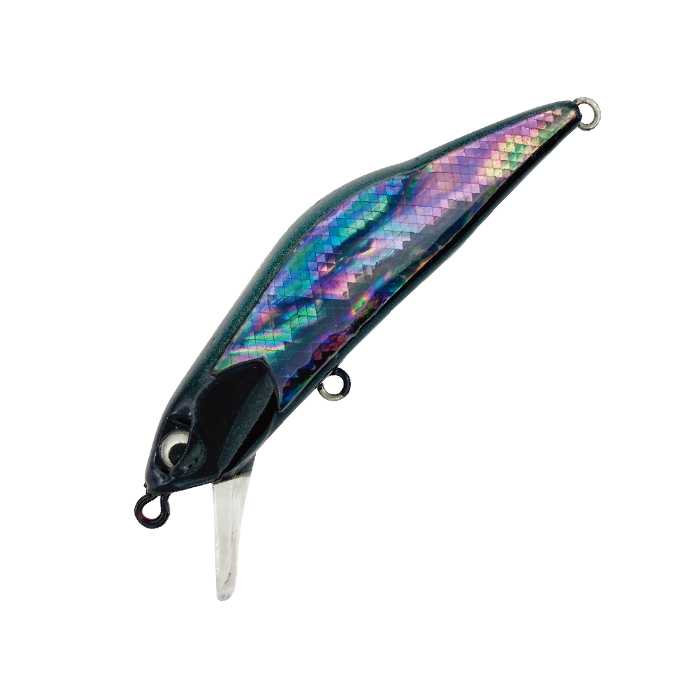 11
ブラックパール