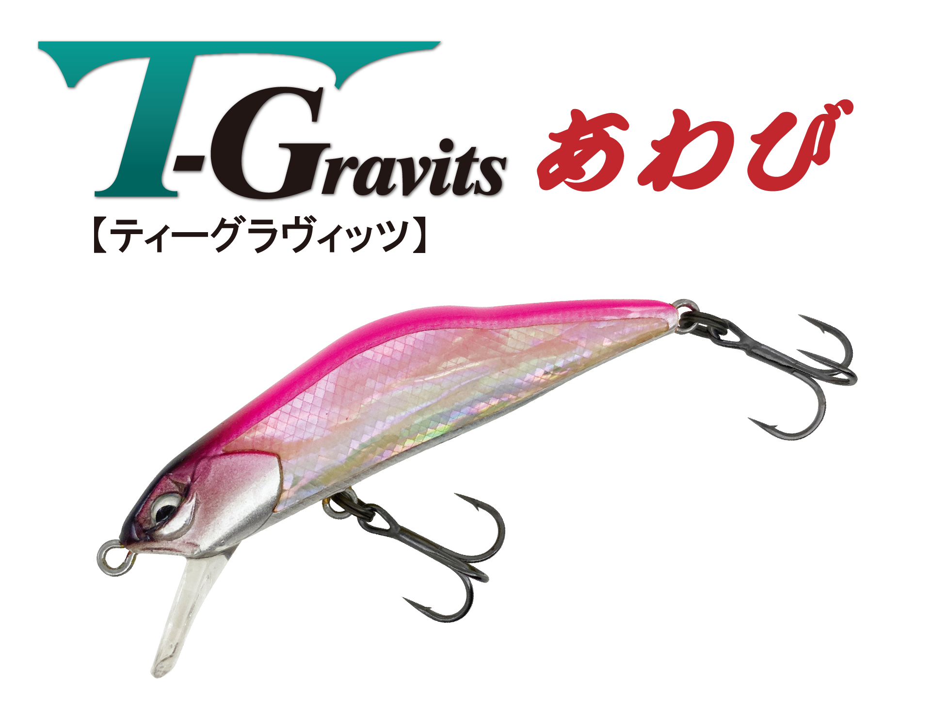 T-Gravits / ティーグラヴィッツあわび